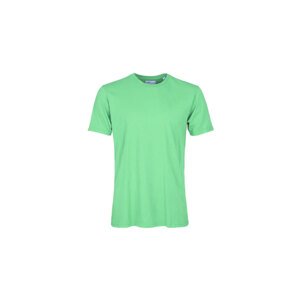 Colorful Standard Classic Organic Tee Muškarci - Majice Colorful Standard - Zelena - CS1001-SG-0-S - Size: S