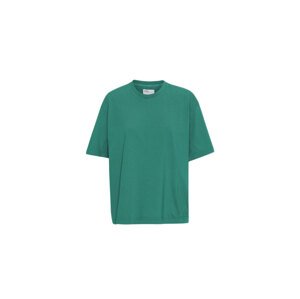 Colorful Standard Oversized Organic T-Shirt Žene - Majice Colorful Standard - Zelena - CS2056-PG-XS - Size: XS