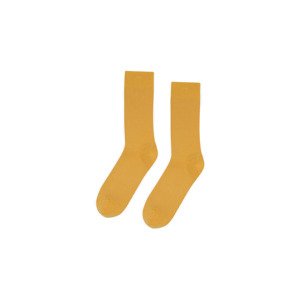 Colorful Standard Classic Organic Socks Muškarci - Nogavice Colorful Standard - Žuta - CS6001-BY-One-size - Size: One size