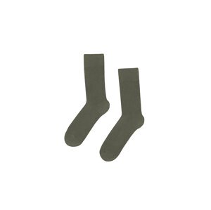 Colorful Standard Classic Organic Socks Muškarci - Nogavice Colorful Standard - Zelena - CS6001-DO-One-size - Size: One size