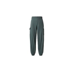 The North Face W Karksh Cargo Pant Žene - Hlače The North Face - Zelena - NF0A531VHBS-10 - Size: 10